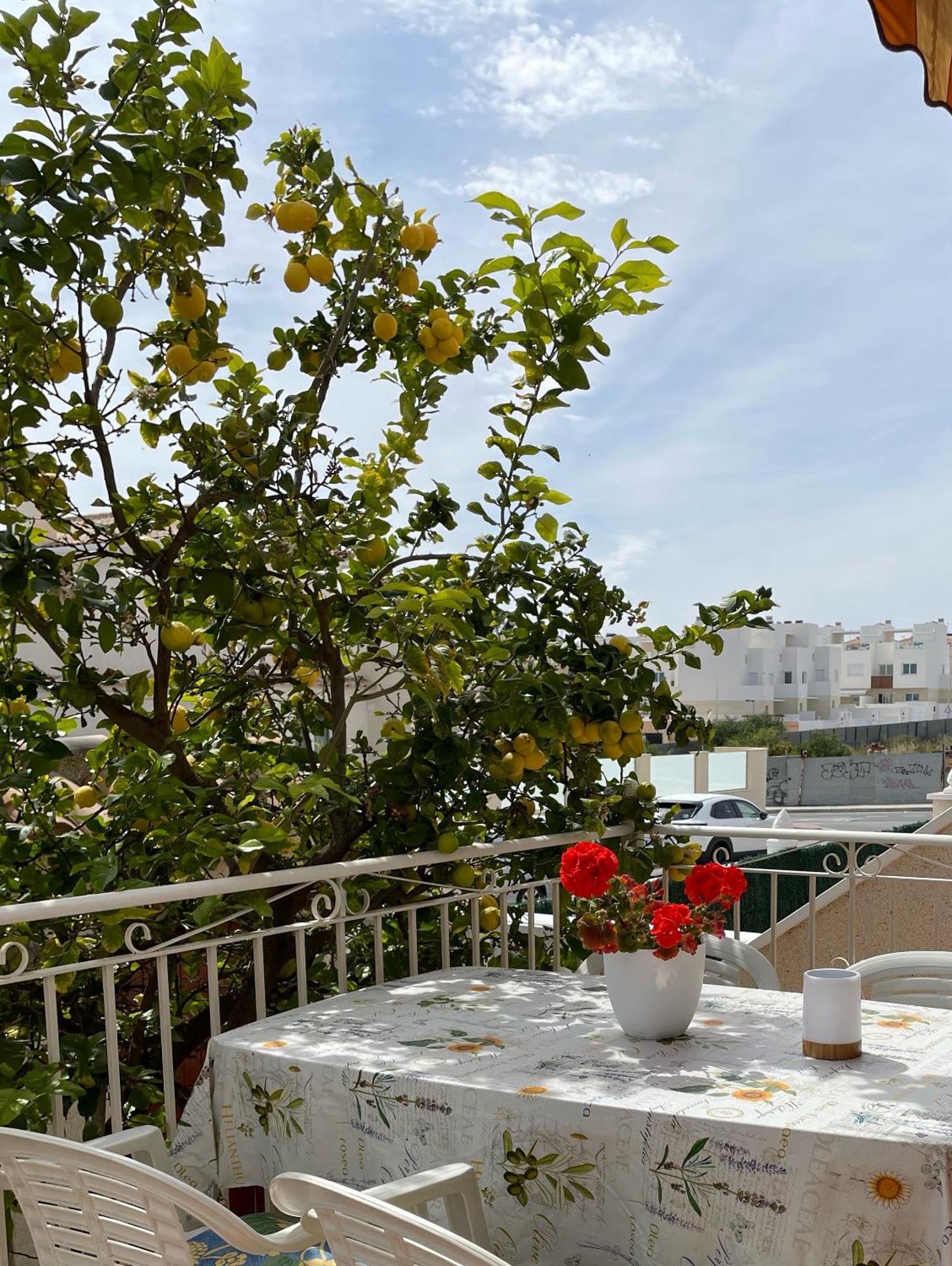 With Large Roof Terrace Near La Mata Ferienhaus *